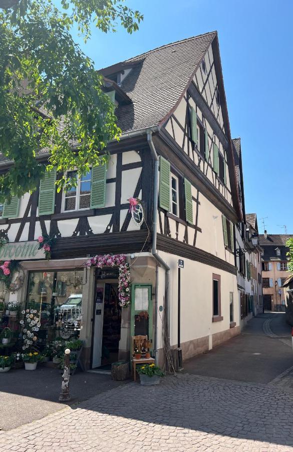 La Maison Du Batelier - Quartier Historique Petite Venise Colmar Exterior foto
